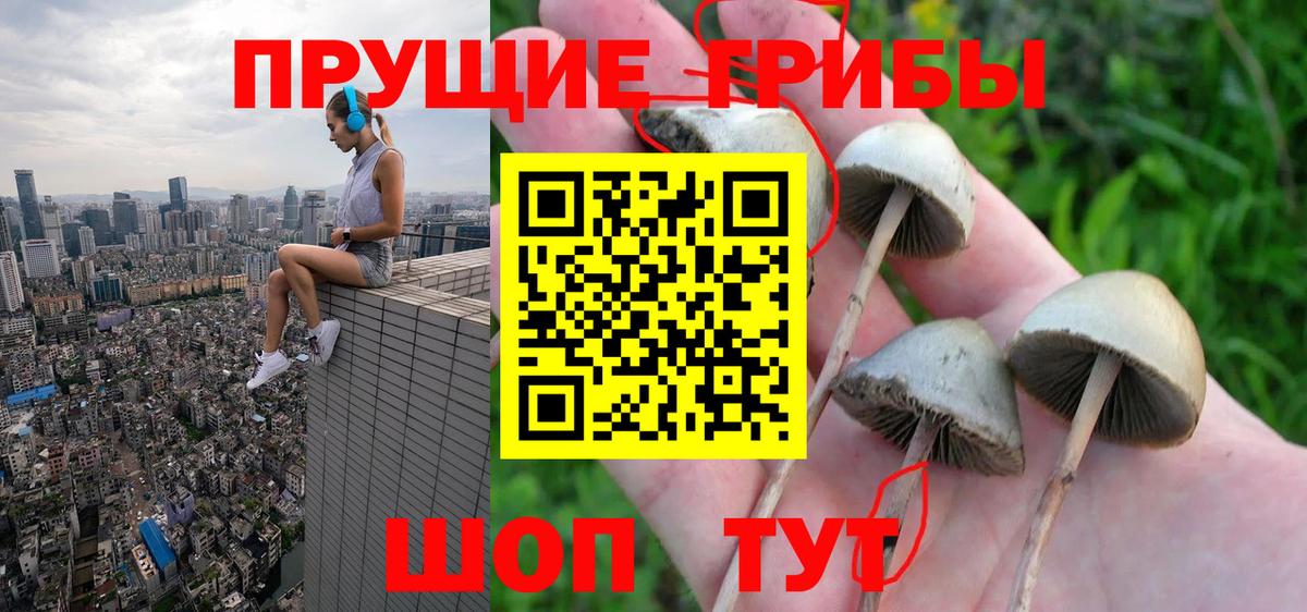 Похвистнево  Псилоцибиновые грибы Cubensis  Псилоцибиновые грибы Magic Shrooms  Вход с VPN 