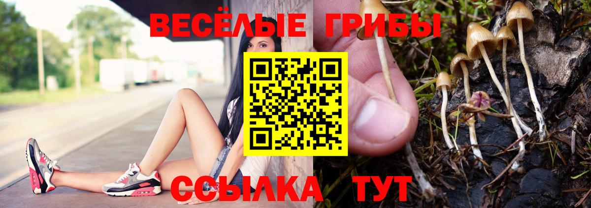 Псилоцибиновые грибы Cubensis Похвистнево